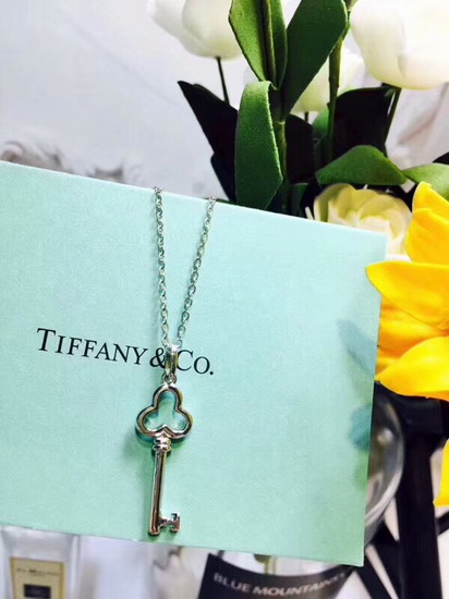  TIFFANY&COネックレスTFXL013