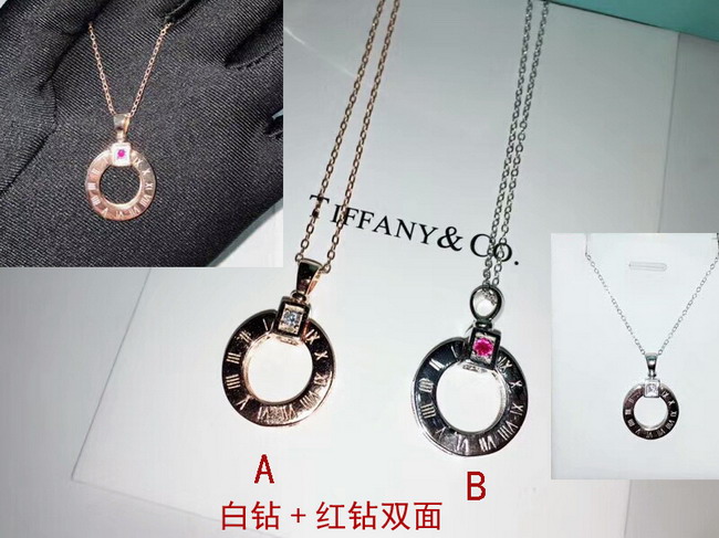  TIFFANY&COネックレスTFXL012