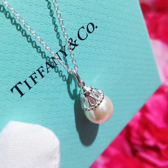 TIFFANY&COネックレスTFXL050