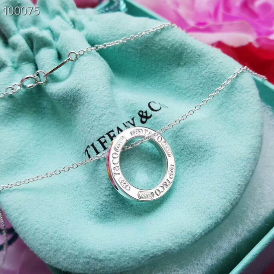 TIFFANY&COネックレスTFXL037