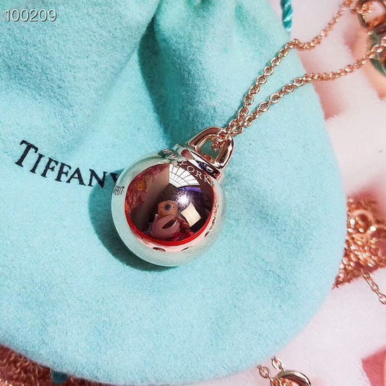 TIFFANY&COネックレスTFXL038