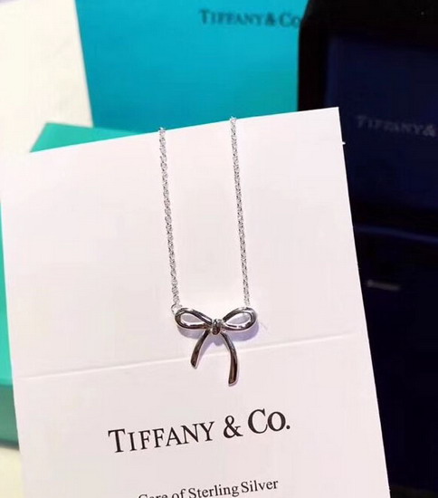 TIFFANY&COネックレスTFXL041