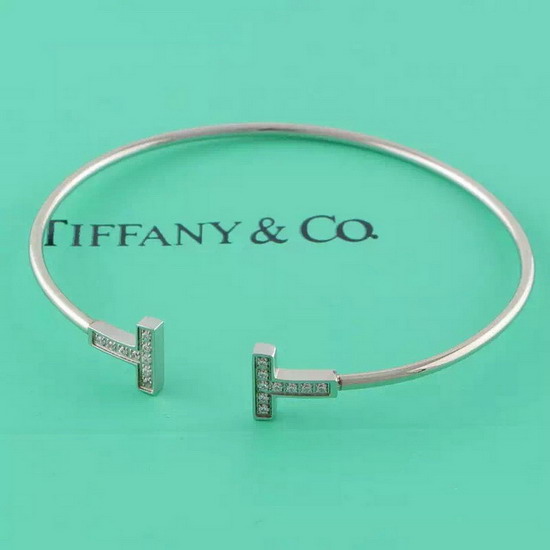 TIFFANY&COネックレスTFSZ004