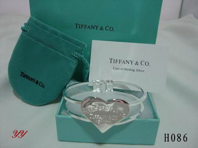 TIFFANY&COネックレスTFJH021