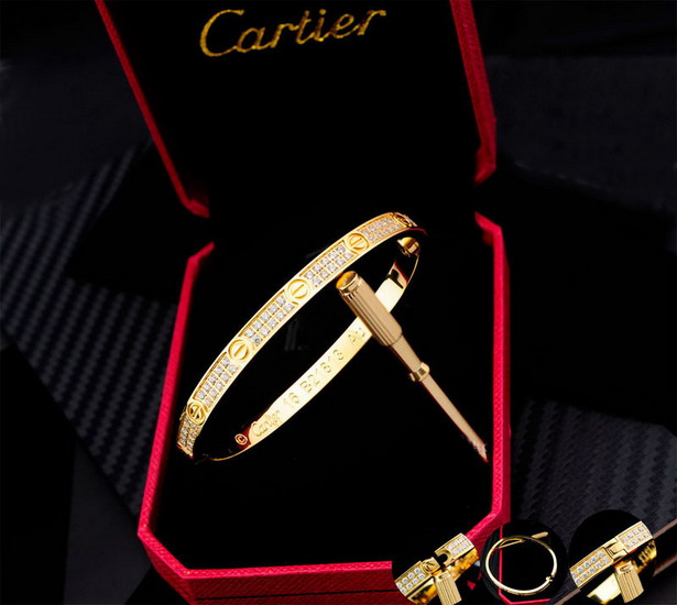  Cartier腕輪&ブレスレットCTSZ024