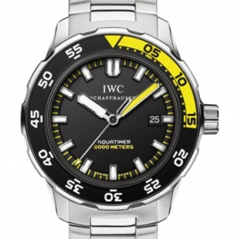 コピー腕時計 IWC アクアタイマー オートマティック 2000 IW356808