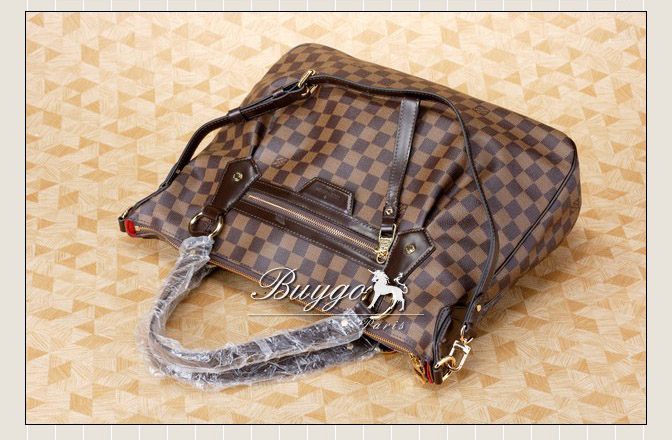 LOUIS VUITTON ヴィトン コピー イーヴォラMM / GM (N41131 / N41132)