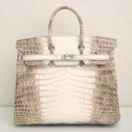 25cm(HERMES)エルメス コピー 激安 バーキン25 クロコダイルニロティカスマット ヒマラヤ HERMES-168